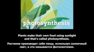 Repeat after the speaker_Living or Non-Living for Kids_Part 6