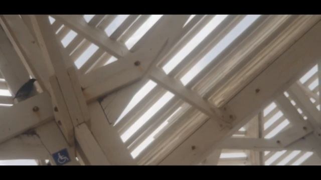 СПОКОЙНОЙ НОЧИ...ЗАКРЫТЬ ГЛАЗА И ДРЕМАТЬ ПОД ШУМ ВОЛН И ЩЕБЕТАНЬЕ ПТИЧЕК .9 АПРЕЛЯ 2023. ХАЙФА смотреть онлайн