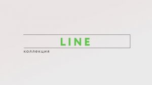 Обзор коллекции LINE от FLYDOORS: геометрия и стиль