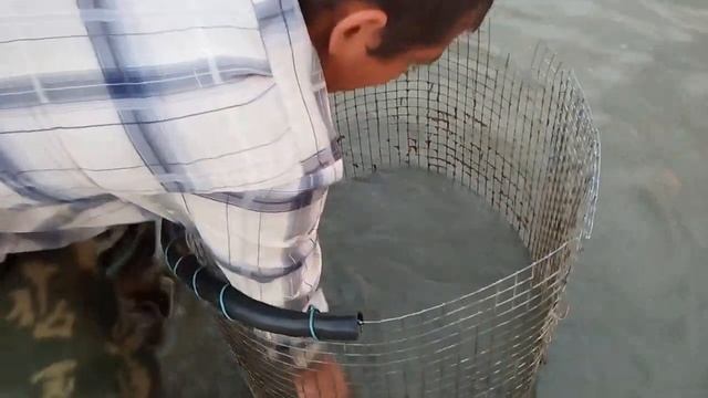 *ЛОВИМ КАРАСЯ* смотреть онлайн