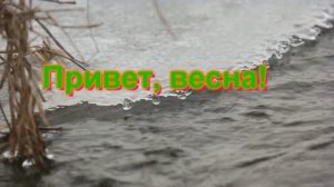 🥀Привет, весна 🌺🌼🌺привет любовь! ❤️  Исполнение -  Группа  Король Лир