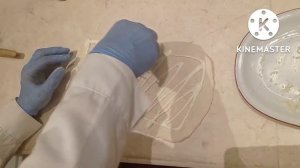 Фокачча с брусничным соусом и лососем