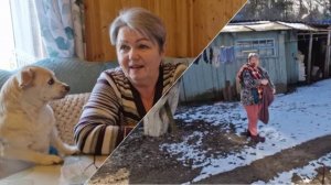 ОПЯТЬ КУПИЛА СЕМЕНА, ПОКУПКИ ВСЕ САМЫЕ НУЖНЫЕ, ЧТО У МЕНЯ НА ОБЕД.