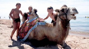 Катаемся на верблюде. Чок-Тал Иссык-Куль Пансионат Лазурный берег. Отдых на Иссык-Куле 2017