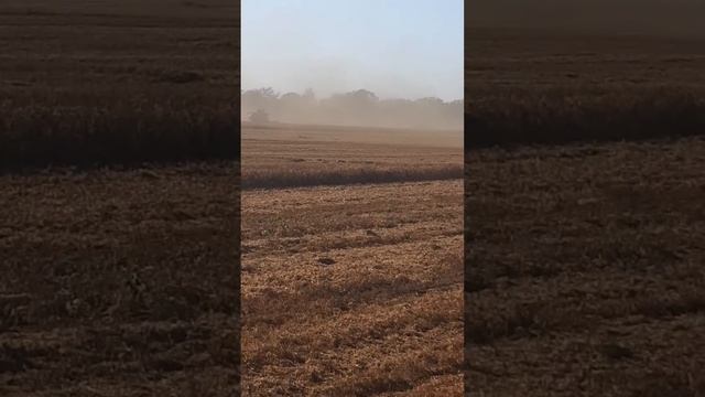 продолжение уборки гороха смотреть онлайн