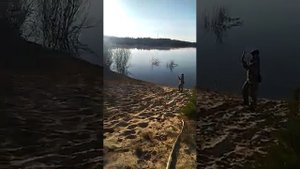 Река Унжа