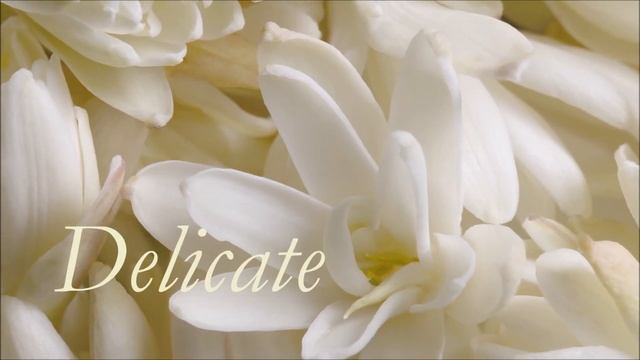 Poznaj historię nowego zapachu Sublime Nature Tuberose смотреть онлайн