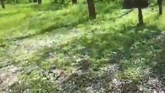 майская поляна смотреть онлайн