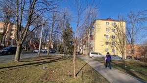 айвазовского обзор