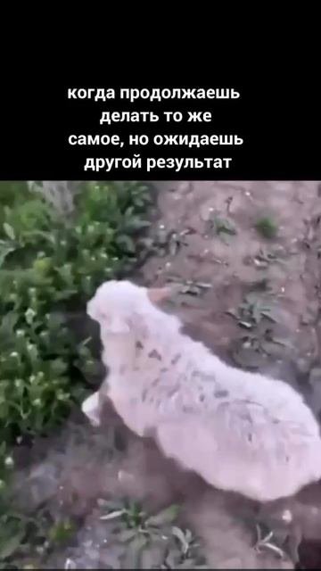 Понедельник — самое время начать делать что-то новое!