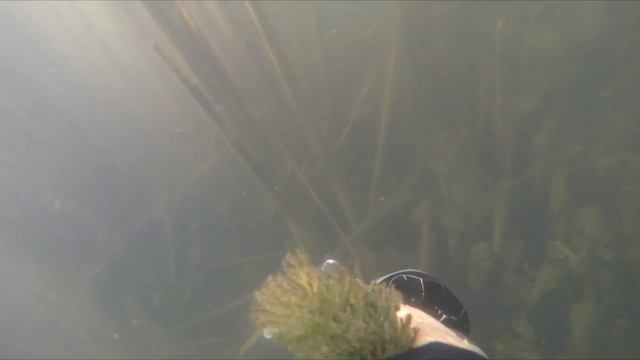 камышовая охота на щуку смотреть онлайн