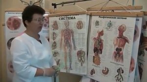 14. Как поддерживать свой иммунитет в активном состоянии.