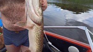 р. Сухона Устье Вологодское