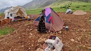 Ali's courtship of a divorced pregnant mother. ‼️😍 Nomads.