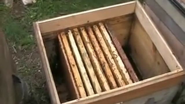 Вынимаем рамки из-под расплода смотреть онлайн