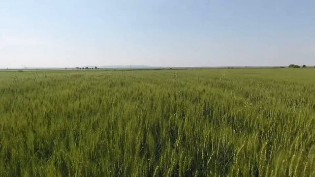 Ефективни решения от CORTEVA AGRISCIENCE™ - семинар в Шумен смотреть онлайн