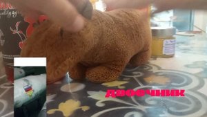 школа капибар *бомба*