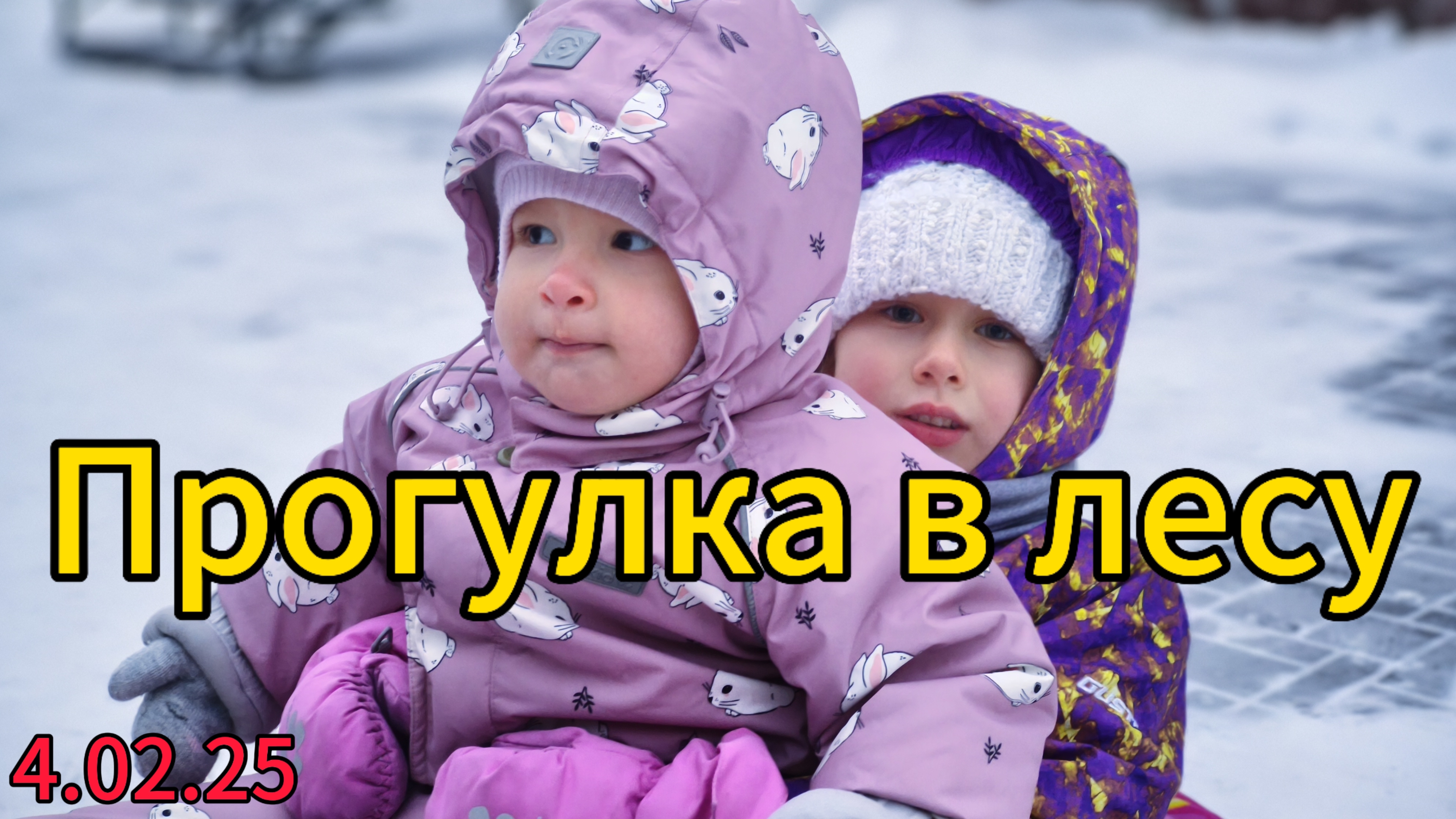 Пошли в снежный лес. Берёзовая роща рядом с домом. Милана строит иглу. Ника счищает снег с ботинок.
