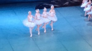 Танец "Маленьких лебедей", балет "Лебединое озеро". Одесса. 2021.