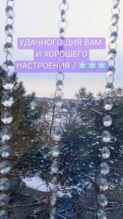 СНЕГ ❄️ #зима #окно #настроение #счастье