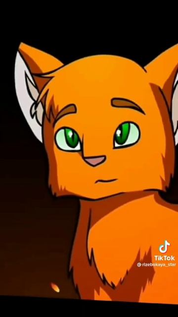 1000024857.mp4 смотреть онлайн