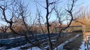 Чаша, ваза , мультилидер