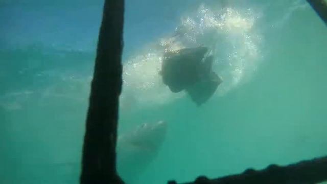 Большая Белая Акула смотреть онлайн