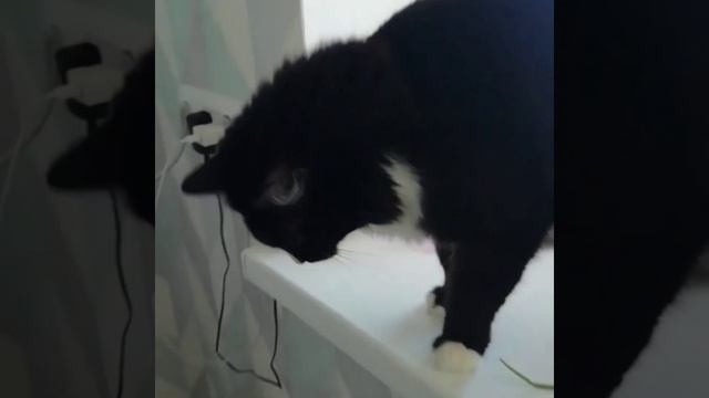 Совет от профессора кислых щей смотреть онлайн