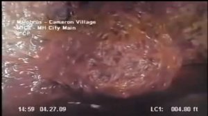 Взрослый гомункул.