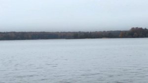 В Завидово октябрь 2024г.