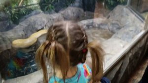 Экзотариум в Туле.С экскурсоводом