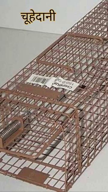 चूहेदानी #shorts #ekkahani #motivationalstory смотреть онлайн