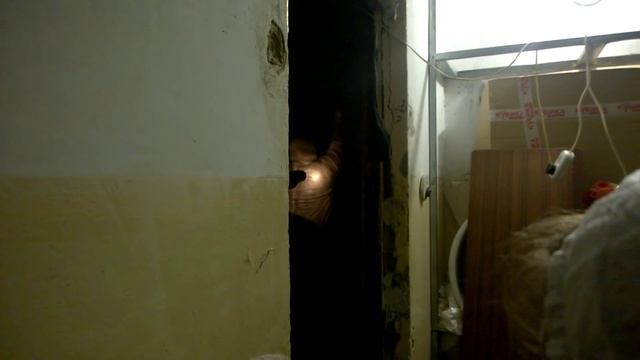 Спасение кошек из квартиры сумасшедшей