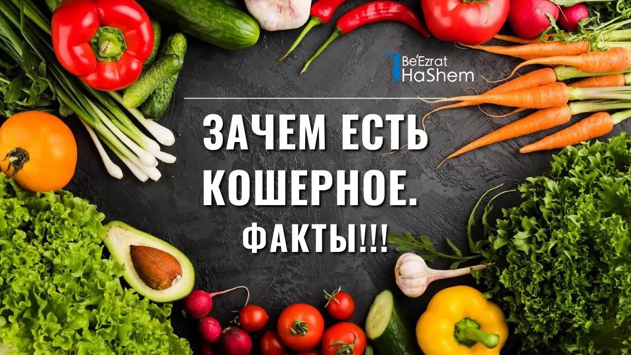 Зачем есть кошерное? Факты!!! | Раввин Ярон Реувен | Русская озвучка