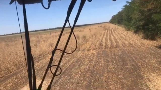 Уборка сои смотреть онлайн