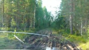 лесные дороги Карелии. Осударева дорога.