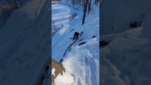 Бегу наверх