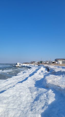 Ледяной океан вместо Азовского моря 26.02.2025 #Голубицкая