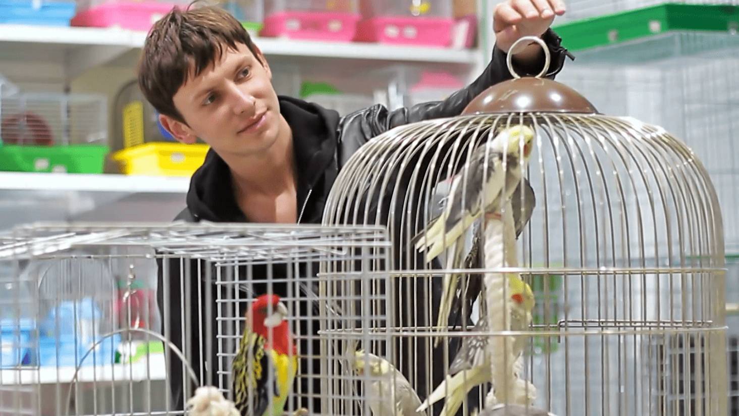 🦜 Где купить товары для экзотических питомцев?