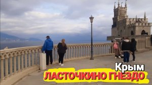 Ласточкино гнездо. #Крым. Пушистые обитатели у Черного моря