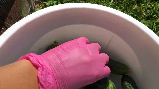 Сбор урожая 2022, это только начало) смотреть онлайн