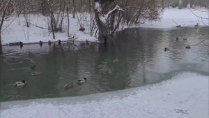 Погодная аномалия в Крыму! #крым