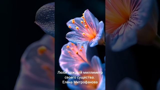 Люби каждый миллиметр своего существа. 
Елена Митрофанова