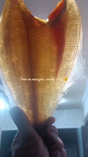 свежайший вяленый морской ёрш с баренцево моря это не магазин  это  натурально