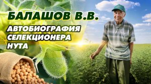 АВТОБИОГРАФИЯ - селекционера и автора многих сортов нута Волгоградской селекции Балашова В.В.