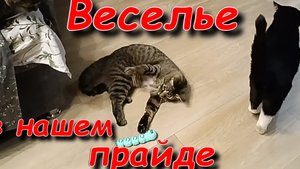 Когда не собирался снимать рождаются самые лучшие кадры. Смотрите , будет весело и интересно.