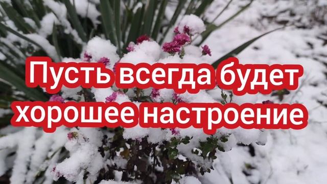 С НОВЫМ ГОДОМ ДРУЗЬЯ/Пение птиц для крепкого и здорового сна/Звуки природы/Sounds of nature/Relax смотреть онлайн