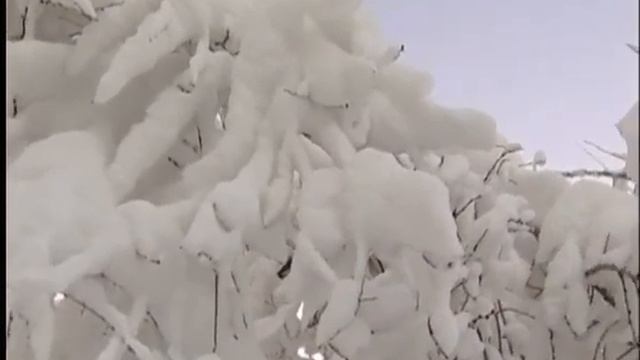 художник мой, как Ты Прекрасен.... смотреть онлайн