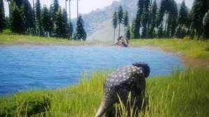 Сбылась мечта