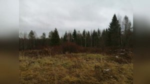 Александр Блок  стихотворение "Россия", читает Елена Асеева